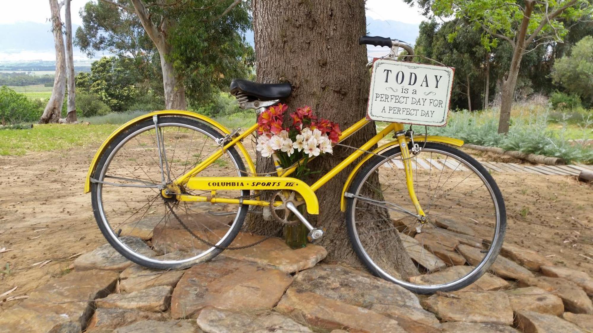 Oudekloof Wine Estate Villa Tulbagh Buitenkant foto